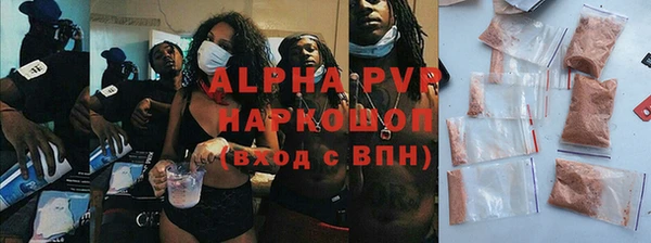 spice Новозыбков