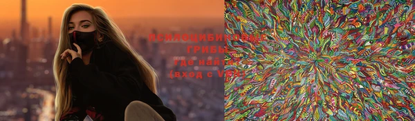 ГАЛЛЮЦИНОГЕННЫЕ ГРИБЫ Балабаново