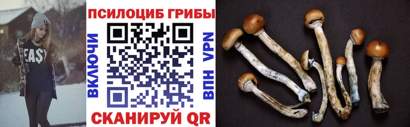 Галлюциногенные грибы Cubensis  где найти   Георгиевск 