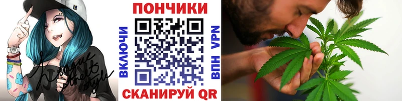 Шишки марихуана планчик  закладки  Георгиевск 